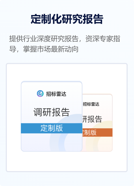 定制化研究报告